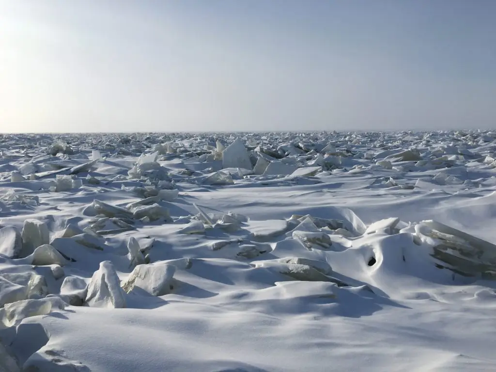 A large expanse of snow and ice on the ocean.