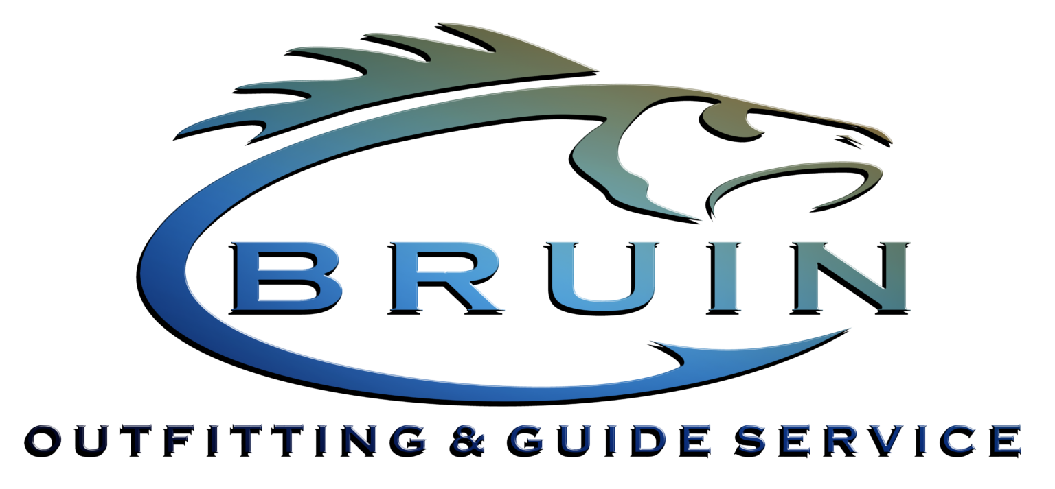 A blue and black logo for bruin printing & guide service.